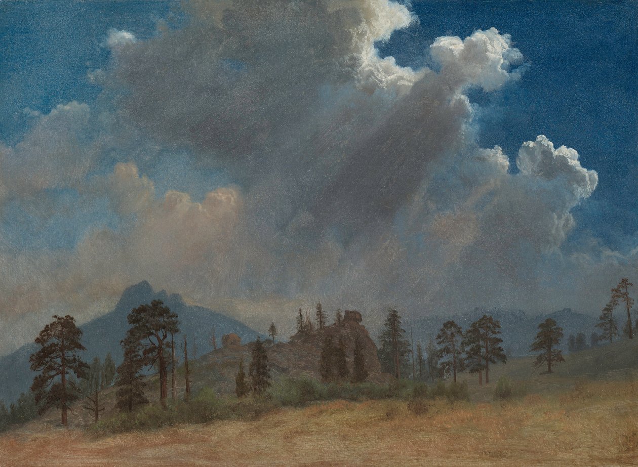 Grantræer og stormskyer, ca. 1870. af Albert Bierstadt