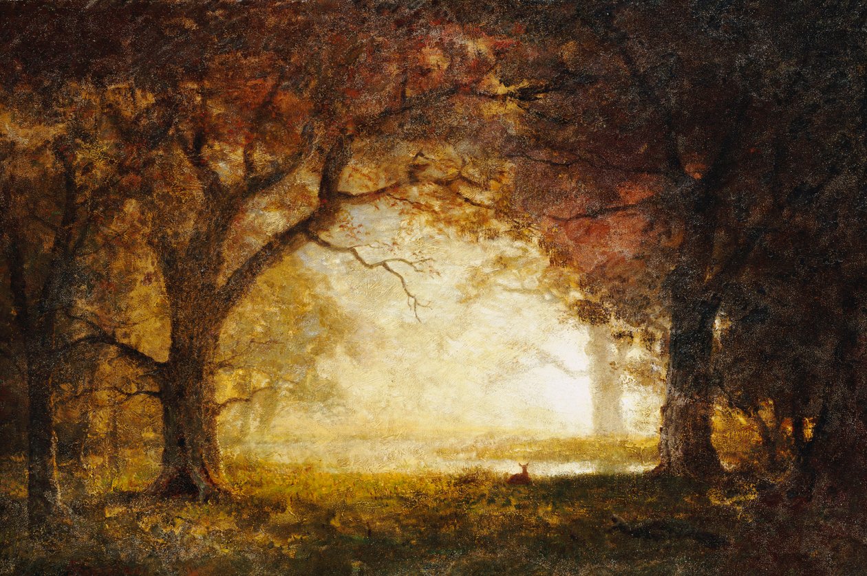 Skov solopgang af Albert Bierstadt