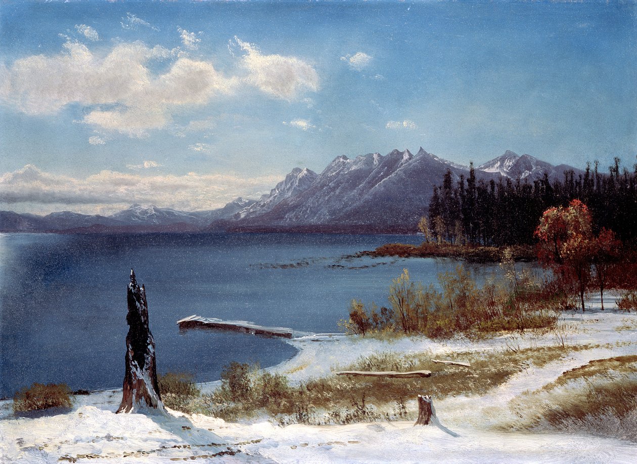Lake Tahoe af Albert Bierstadt