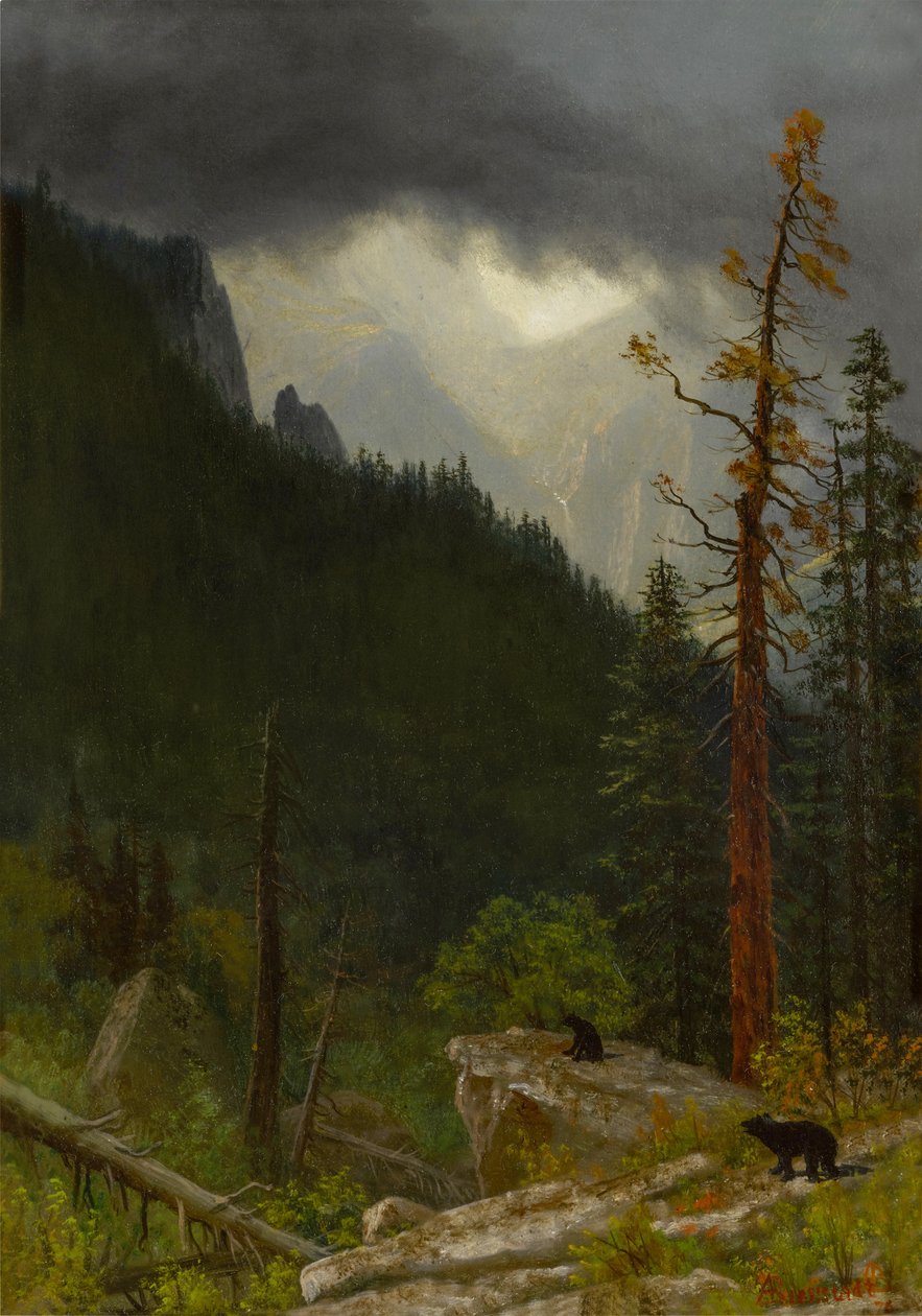 Rockies efter en storm af Albert Bierstadt