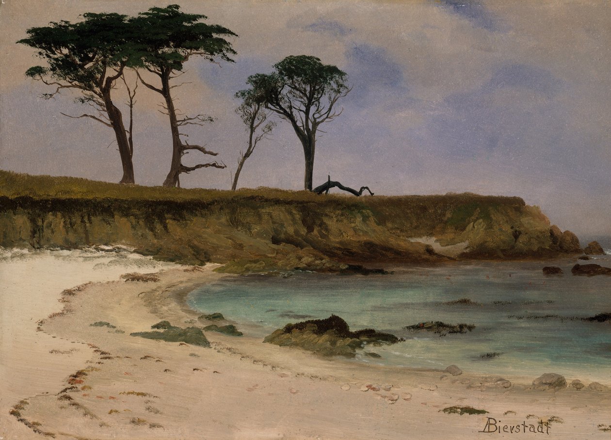 Sea Cove af Albert Bierstadt
