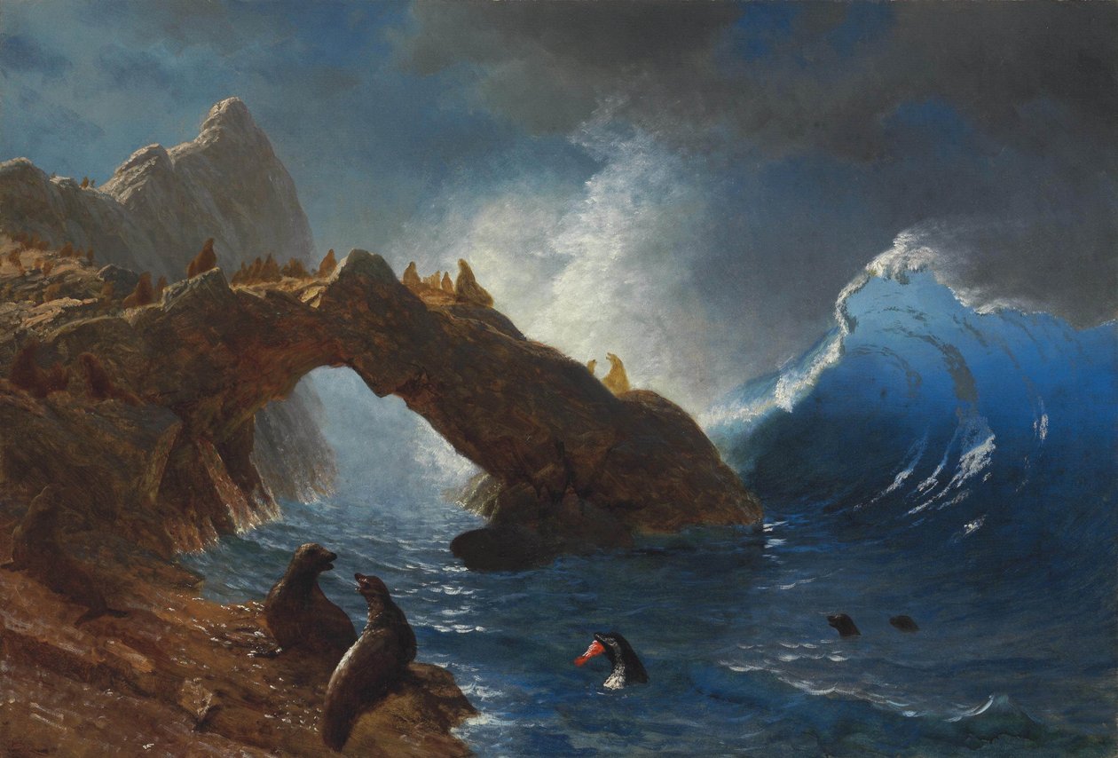 Sæler på klipperne af Albert Bierstadt
