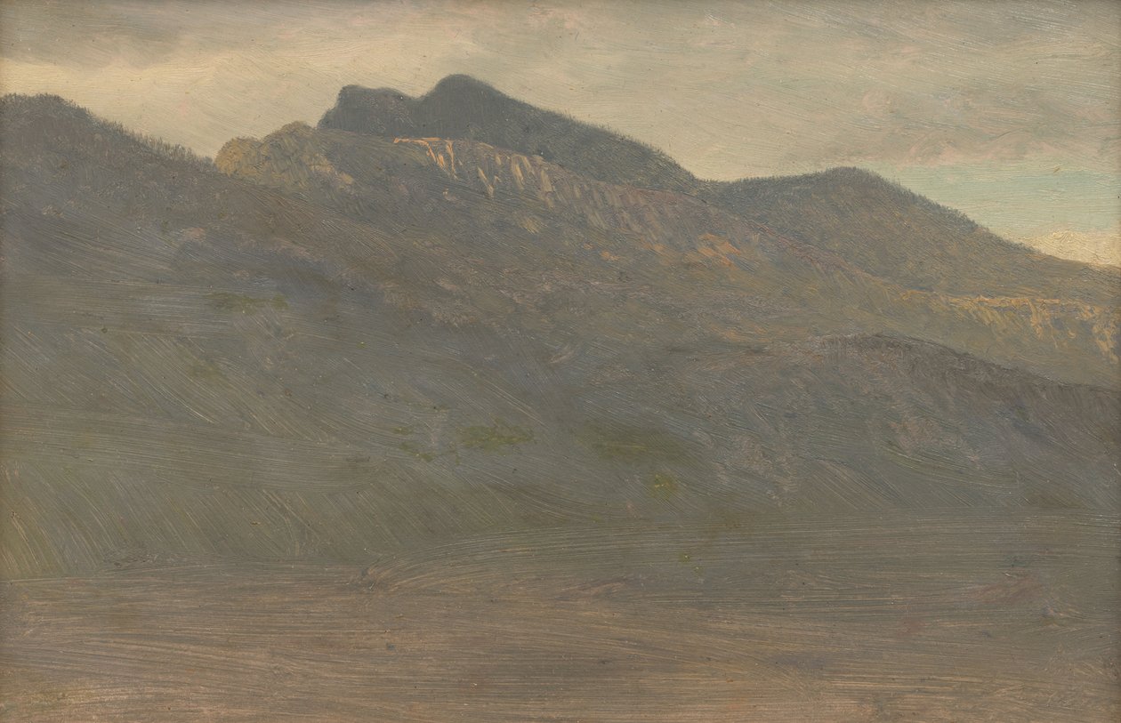 Fredfyldt udsigt over bjergene (White Mountains, New Hampshire) af Albert Bierstadt