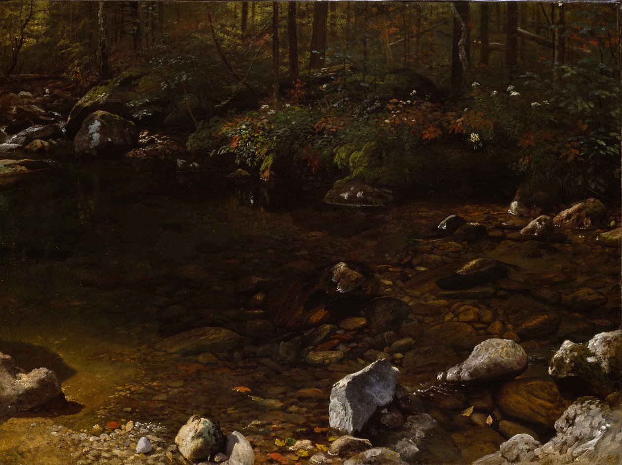 Skyggefuld dam, White Mountains, New Hampshire af Albert Bierstadt