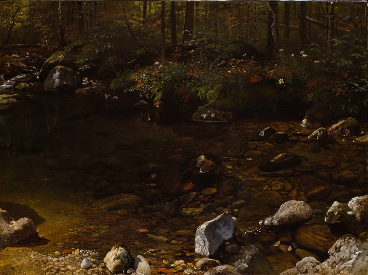 Shady Pool, White Mountains, New Hampshire, ca. 1869. af Albert Bierstadt