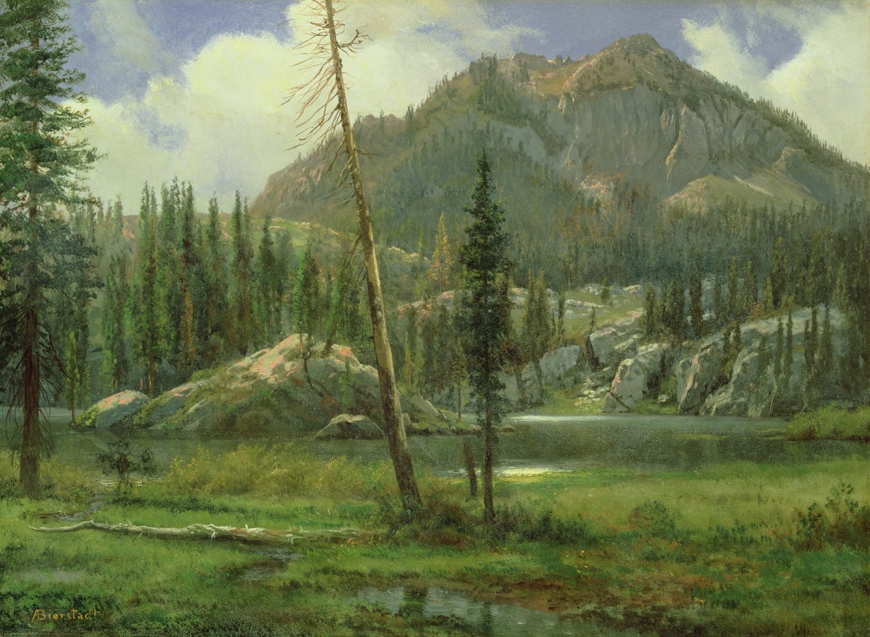 Sierra Nevada-bjergene af Albert Bierstadt