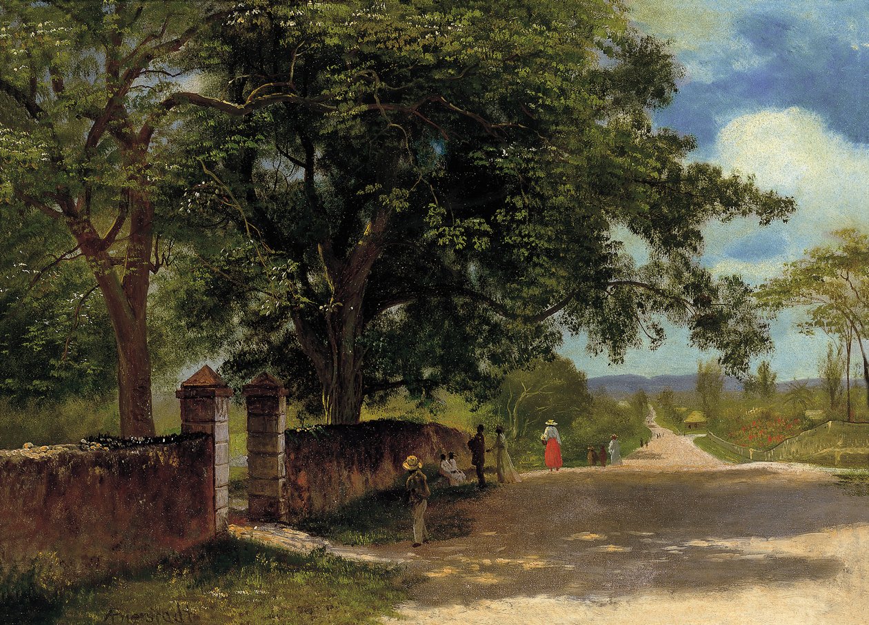 Gade i Nassau af Albert Bierstadt