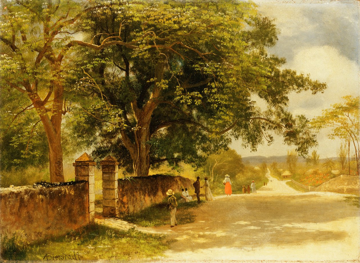 Gade i Nassau, ca. 1878 af Albert Bierstadt