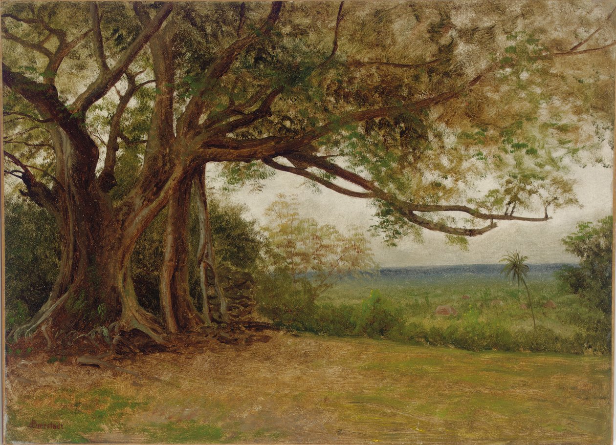 Studie til "The Landing of Columbus", 1892 af Albert Bierstadt