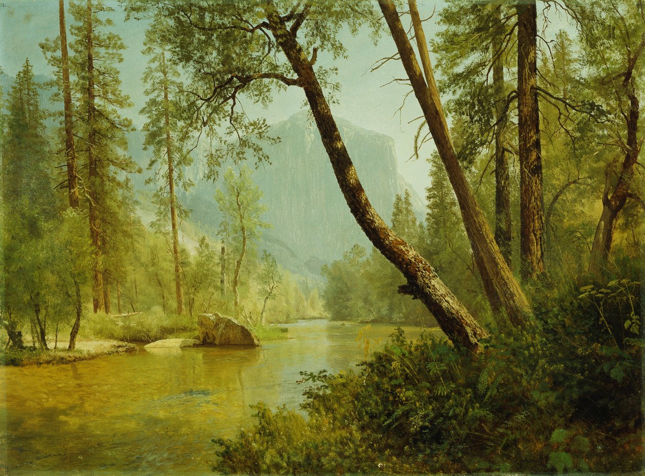 Solbeskinnet Skov af Albert Bierstadt