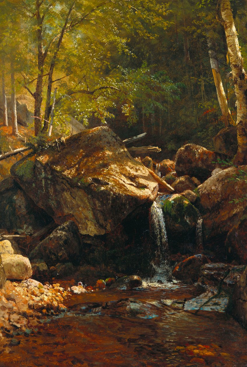Thompson Cascade, White Mountains af Albert Bierstadt