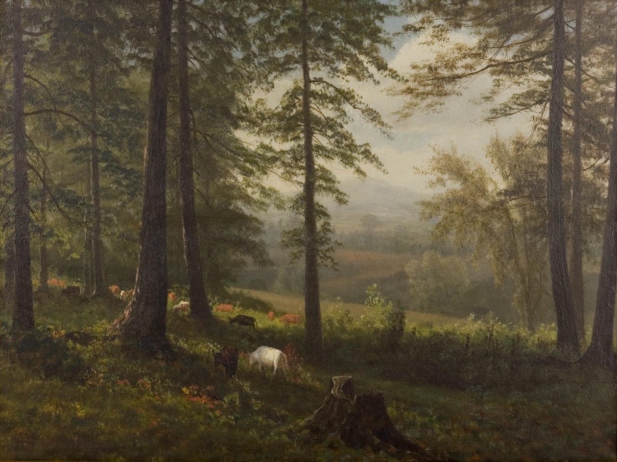 Udsigt til en lysning af Albert Bierstadt