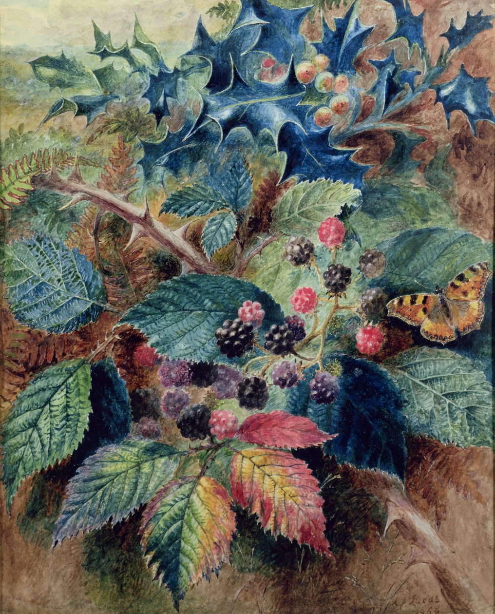 Brombær og Holly med en sommerfugl af Albert Durer Lucas