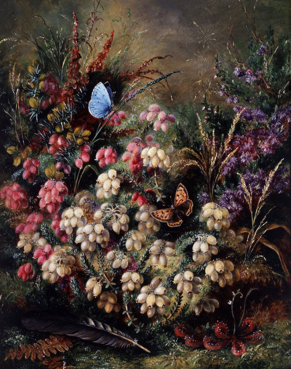  af Albert Durer Lucas