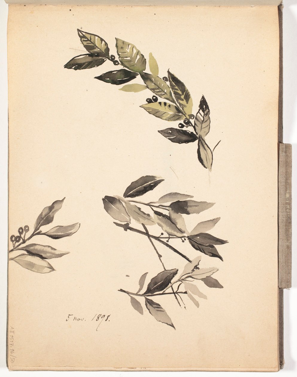 Uden titel af Albert Edelfelt