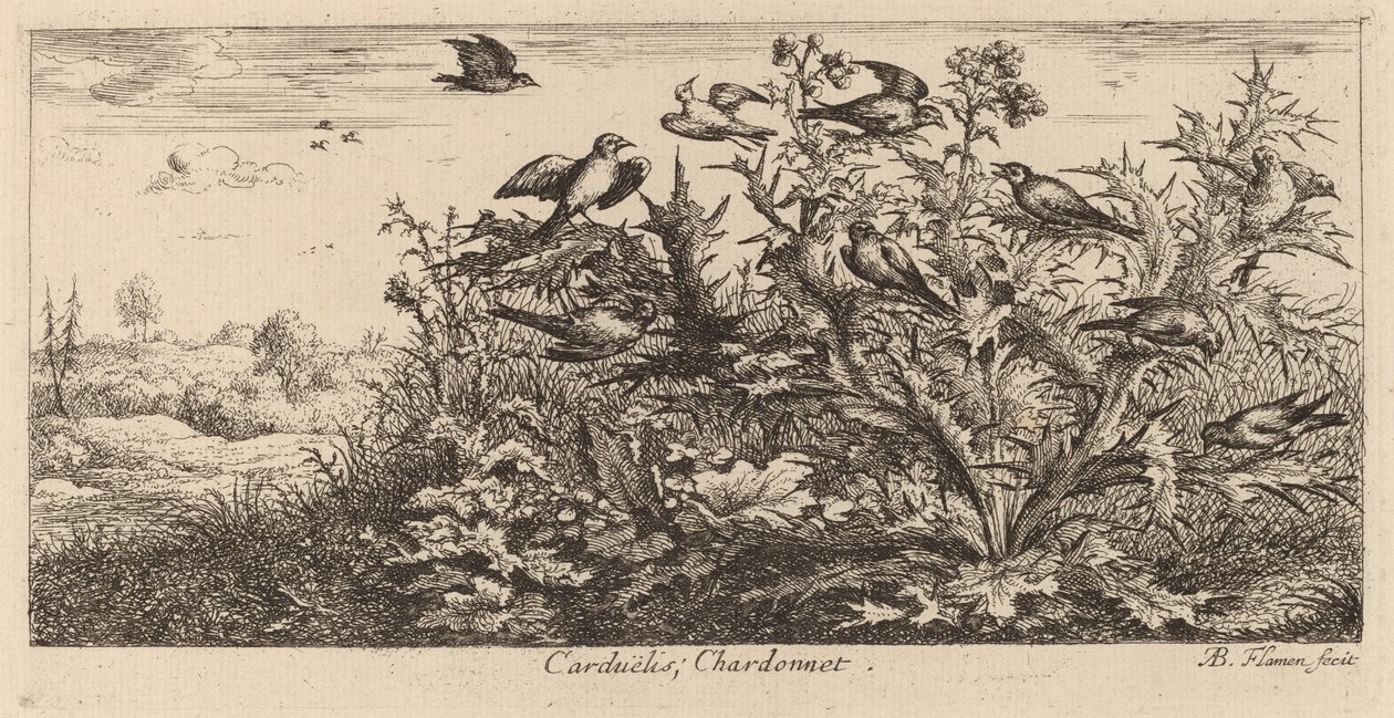 Carduelis, Guldfinken af Albert Flamen