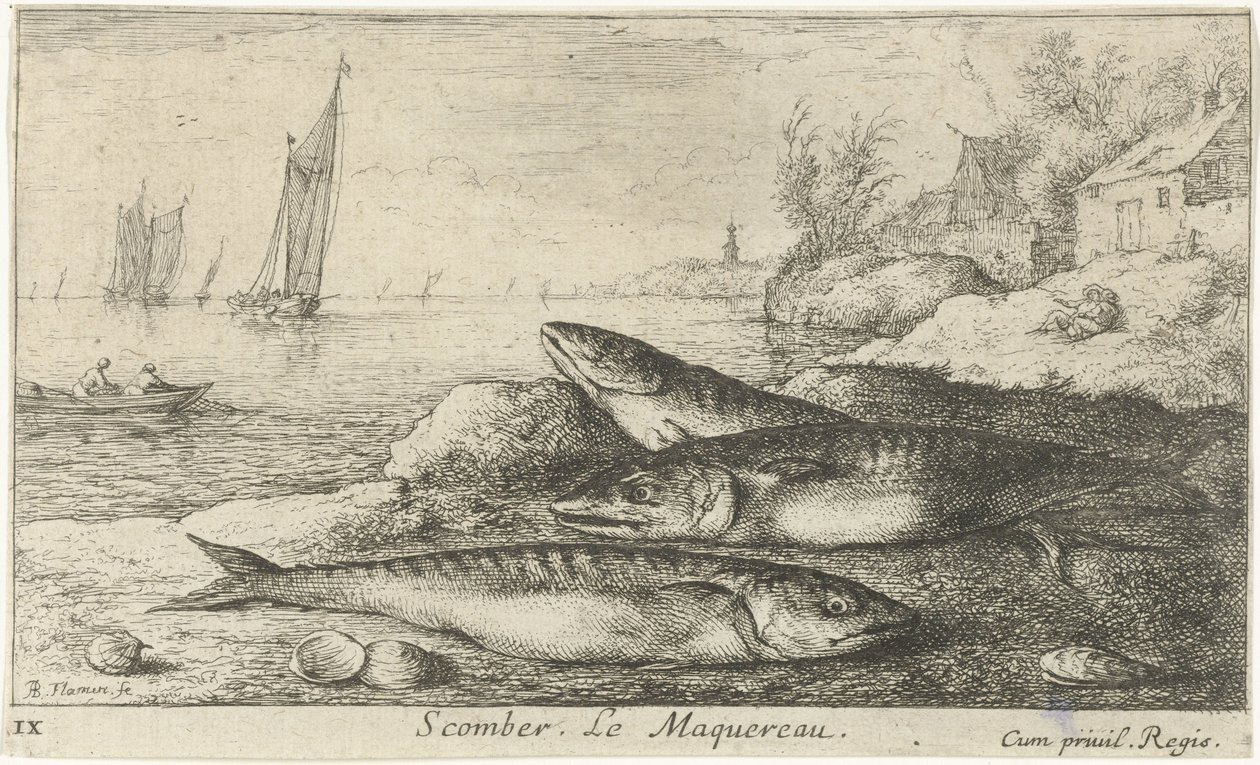 Tre makreller på stranden Scomber. Le Maquereau. (titel på objekt) Fisk og andre havdyr - saltvands første serie (serietitel) Diverse Especes de Poissons de mer (serietitel) af Albert Flamen