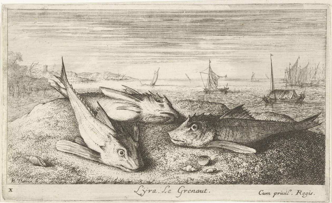 Tre saltvandsfisk på stranden Lyta, Le grenaut. (titel på objekt) Fisk og andre havdyr - saltvands første serie (serietitel) Diverse Especes de Poissons de mer (serietitel) af Albert Flamen