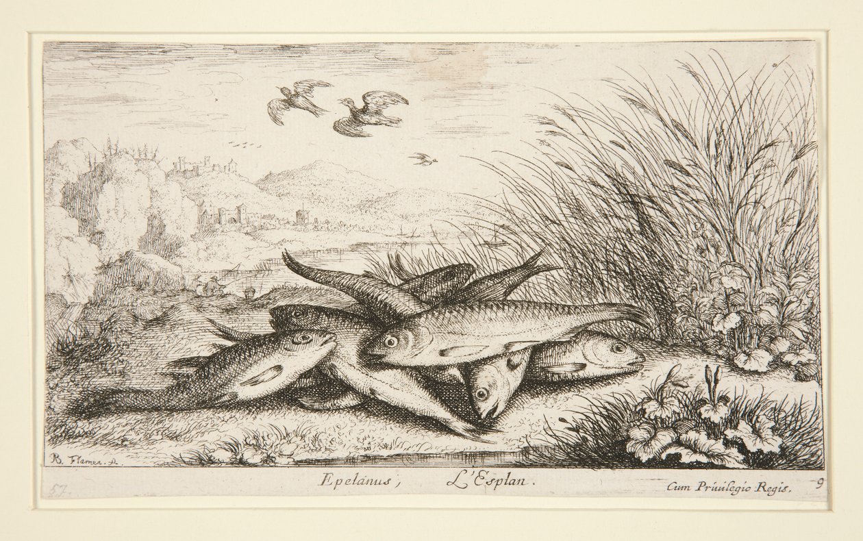 Epelanus, L af Albert Flamen