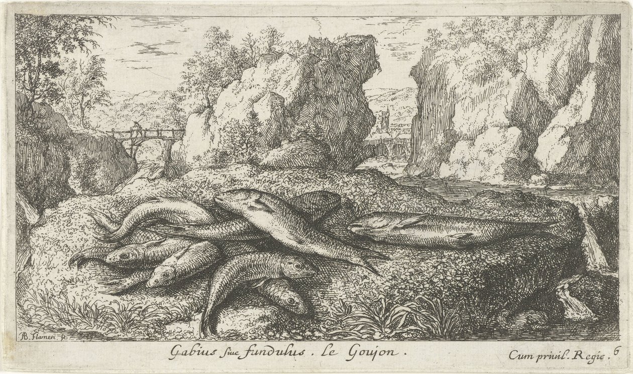 Kutlinger på en flodbred Gabius siue fundulus. Le Goujon. (titel på objekt) Fisk og andre havdyr - ferskvands anden serie (serietitel) Seconde partie de Poissons d