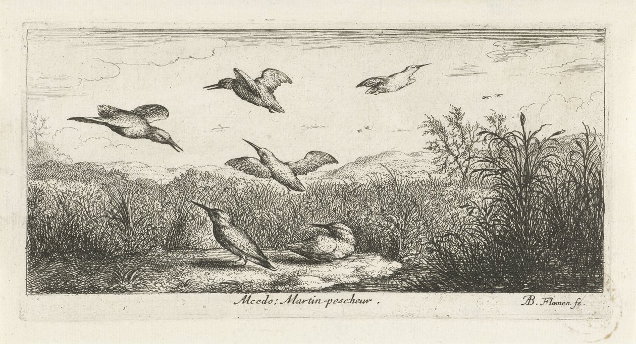 Landskab med isfugle alcedo; Martin-pecrack. (titel på objekt) Fuglebog (serietitel) Livre d