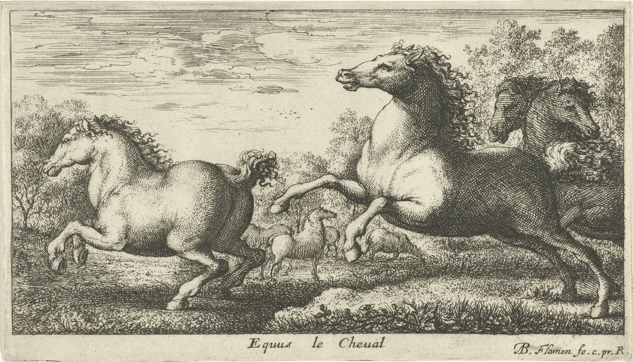 Heste Equus le Cheval (titel på objekt) Forskellige dyrearter (serietitel) af Albert Flamen