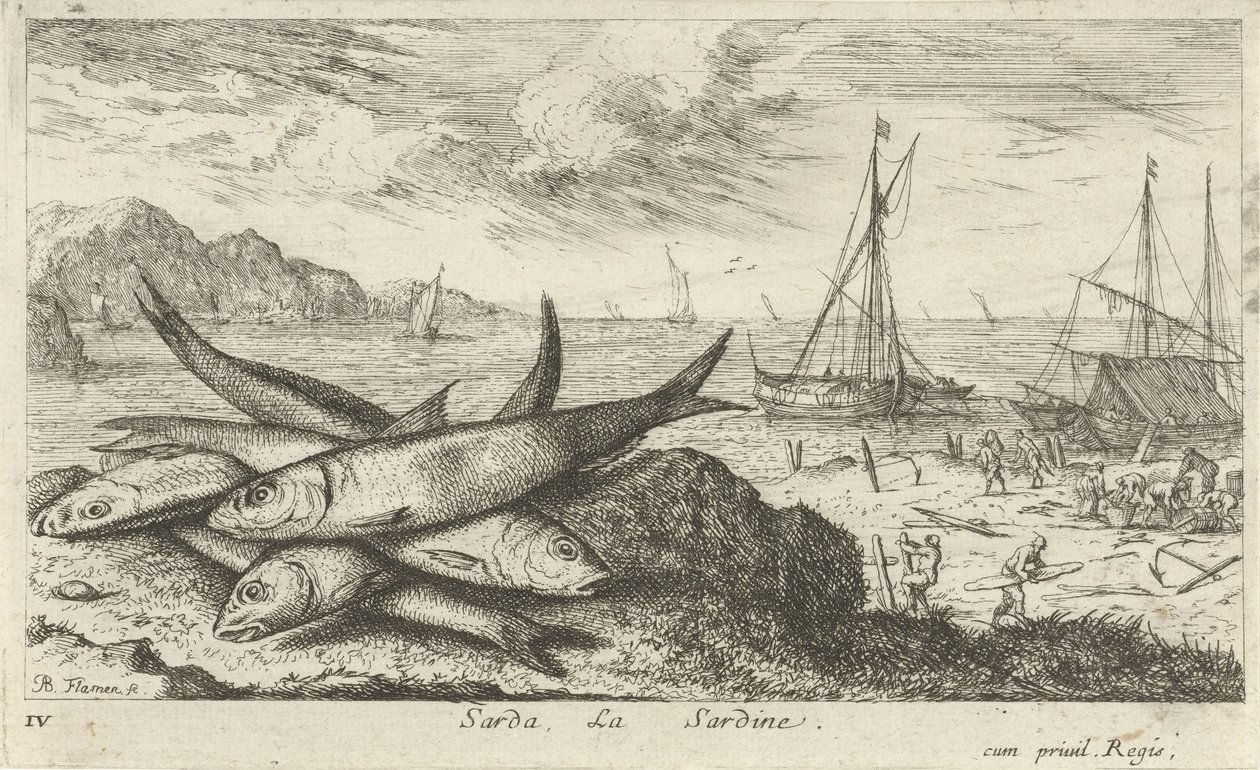 Sardiner på stranden Sarda, La Sardine. (titel på objekt) Fisk og andre havdyr - saltvands første serie (serietitel) Diverse Especes de Poissons de mer (serietitel) af Albert Flamen