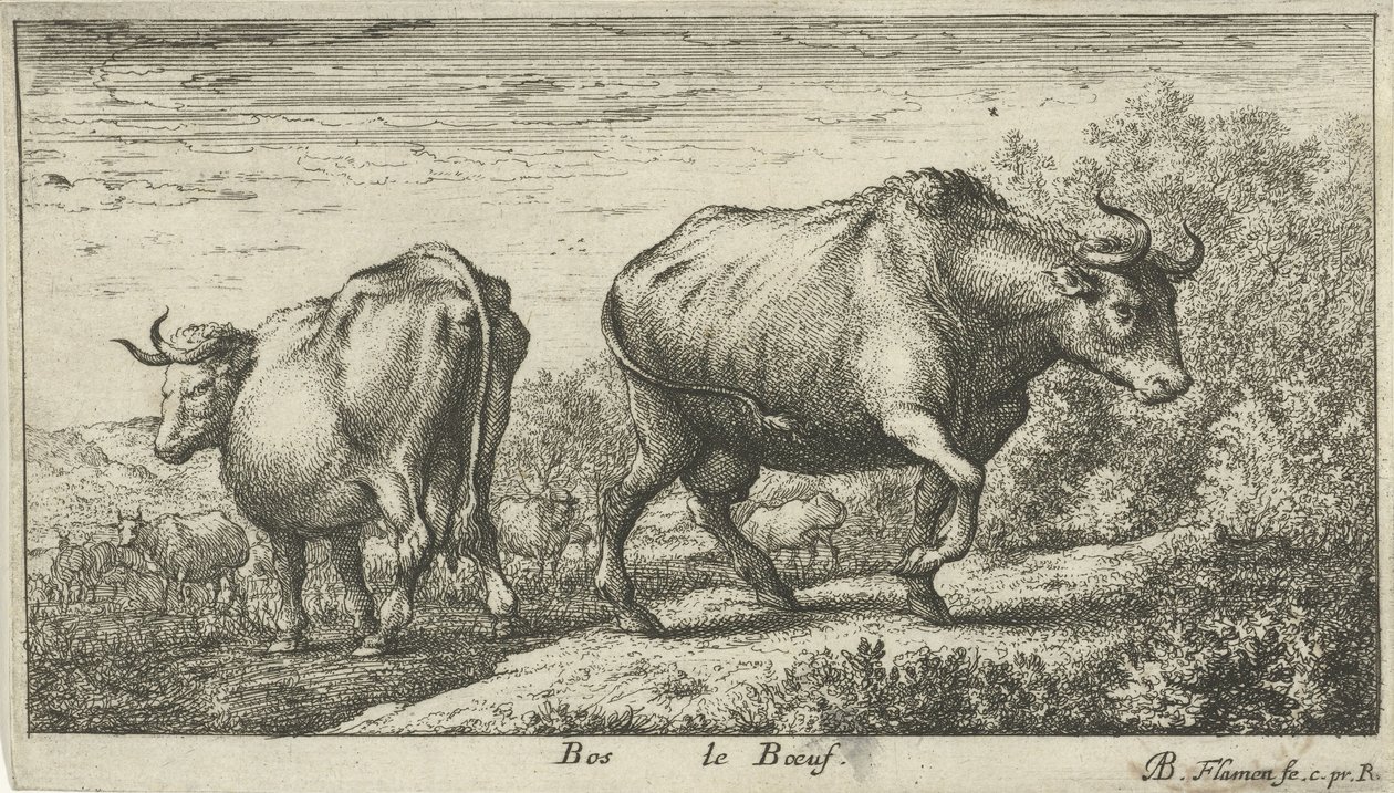 tyre Bos le Boeuf (titel på objekt) Forskellige dyrearter (serietitel) af Albert Flamen