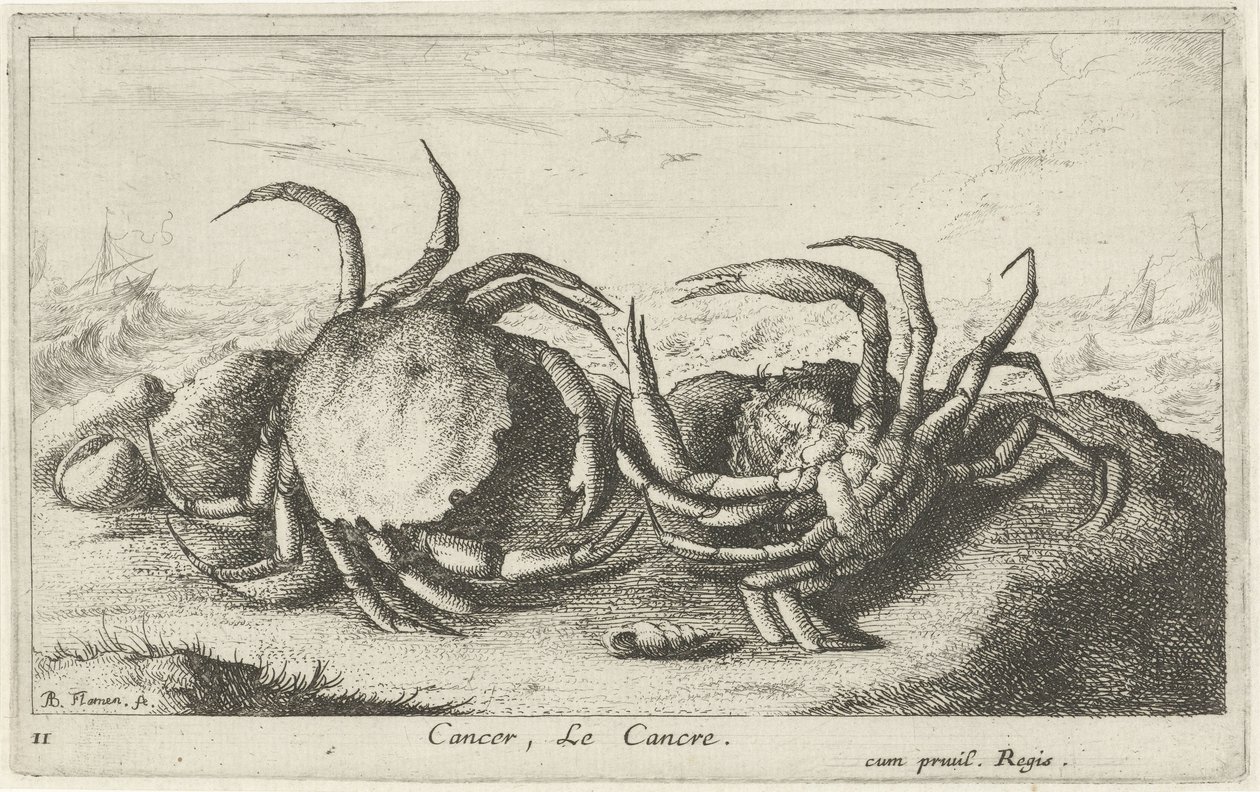 To krabber på stranden Cancer, Le Cancre (titel på objekt) Fisk og andre havdyr - saltvands første serie (serietitel) Diverse Especes de Poissons de mer (serietitel) af Albert Flamen