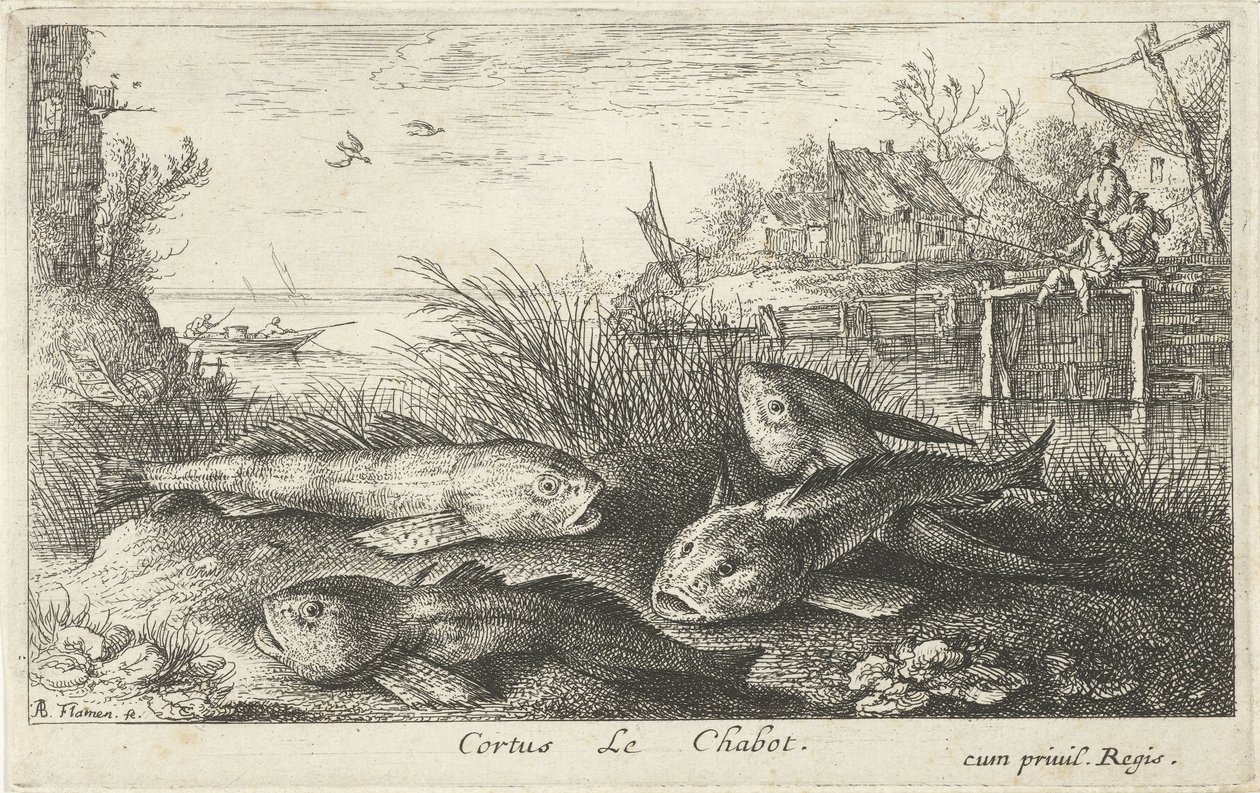 Fire chubs på en flodbred Cortus LeChabot. (titel på objekt) Fisk og andre havdyr - ferskvands anden serie (serietitel) Seconde partie de Poissons d