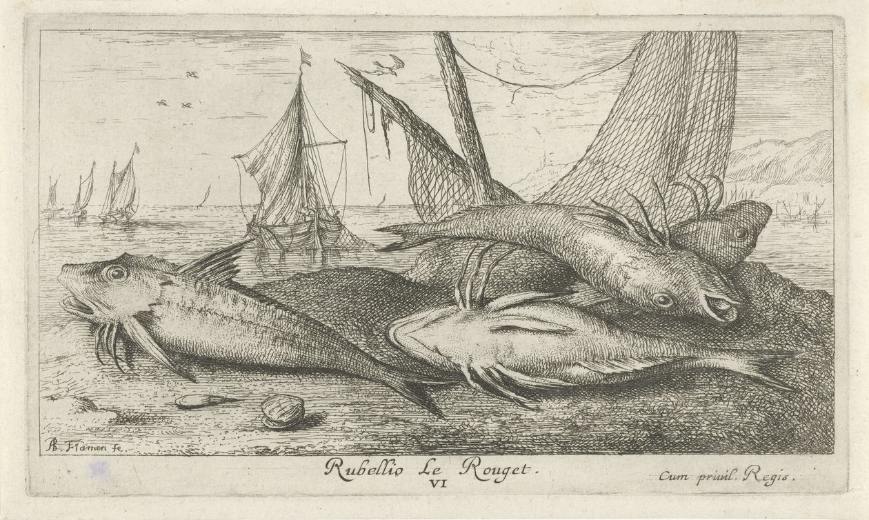 Fire røde multer på stranden Rubellio Le Rouget. (titel på objekt) Fisk og andre havdyr - saltvands anden serie (serietitel) Poissons de mer (serietitel) af Albert Flamen