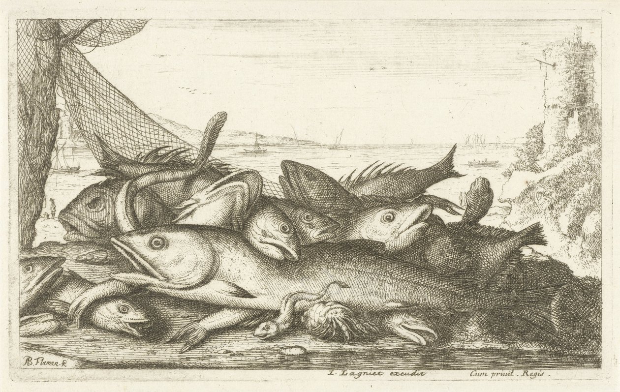 Eremitkrebs fiskeri Forskellige fiskearter (serietitel) Diverse Especes De Poissons tant de Mer, que d
