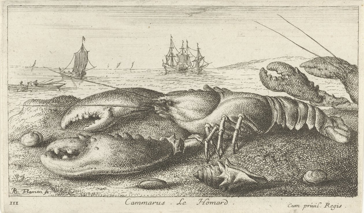 Hummer på stranden Cammarus. LeHomard (titel på objekt) Fisk og andre havdyr - saltvands første serie (serietitel) Diverse Especes de Poissons de mer (serietitel) af Albert Flamen