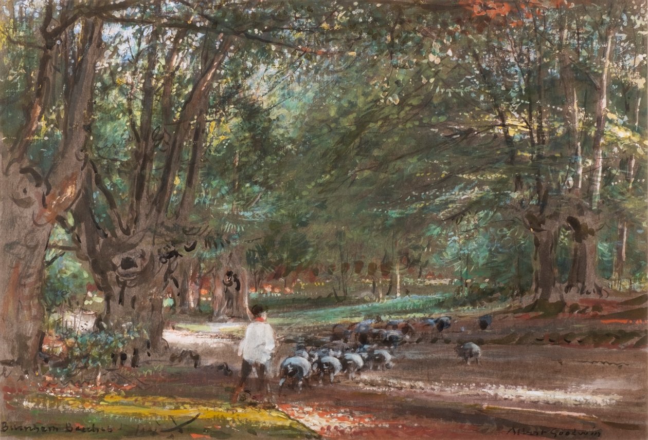 Burnham Beeches (akvarel og bodycolour) af Albert Goodwin