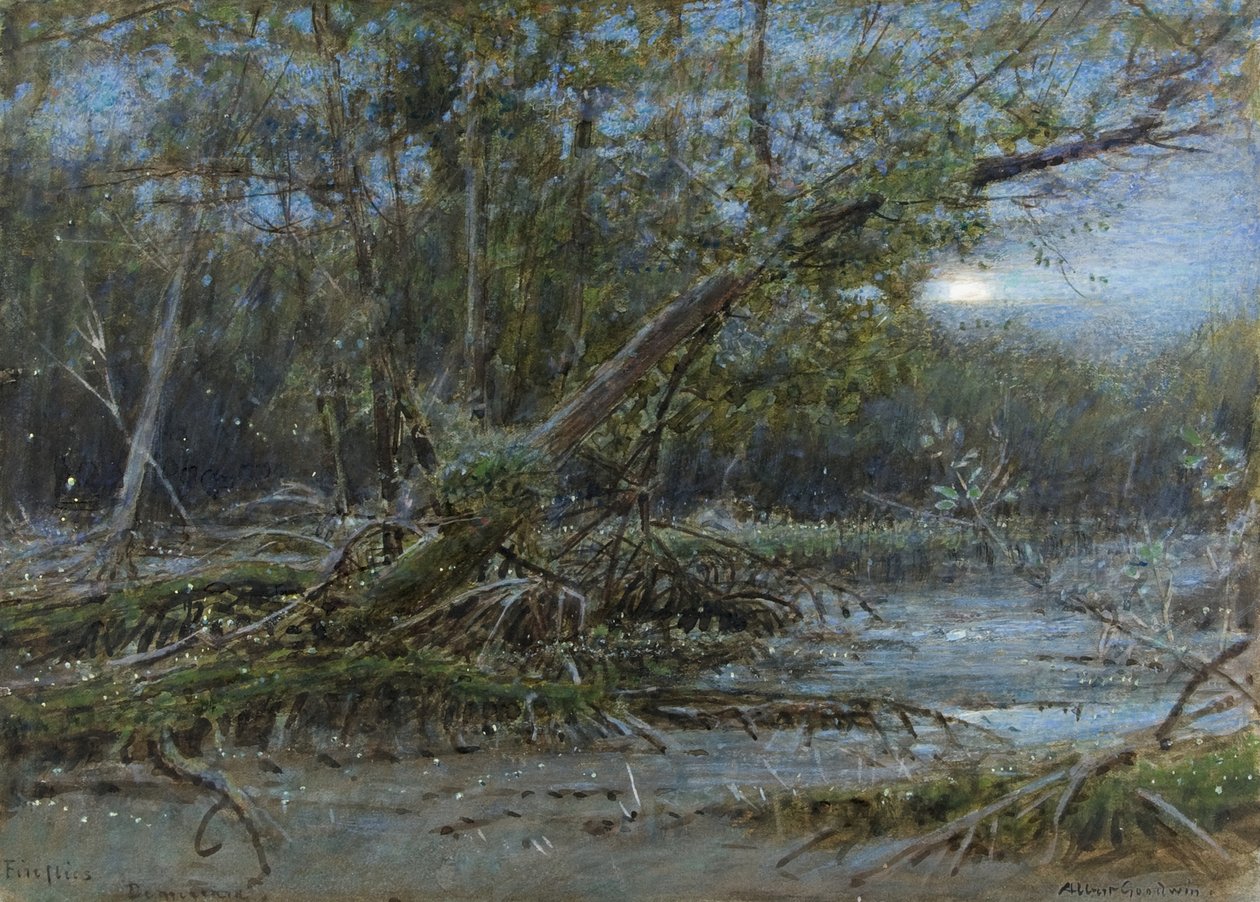Fireflies, Demerera, ca. 1902 (w/c og kropsfarve på papir) af Albert Goodwin