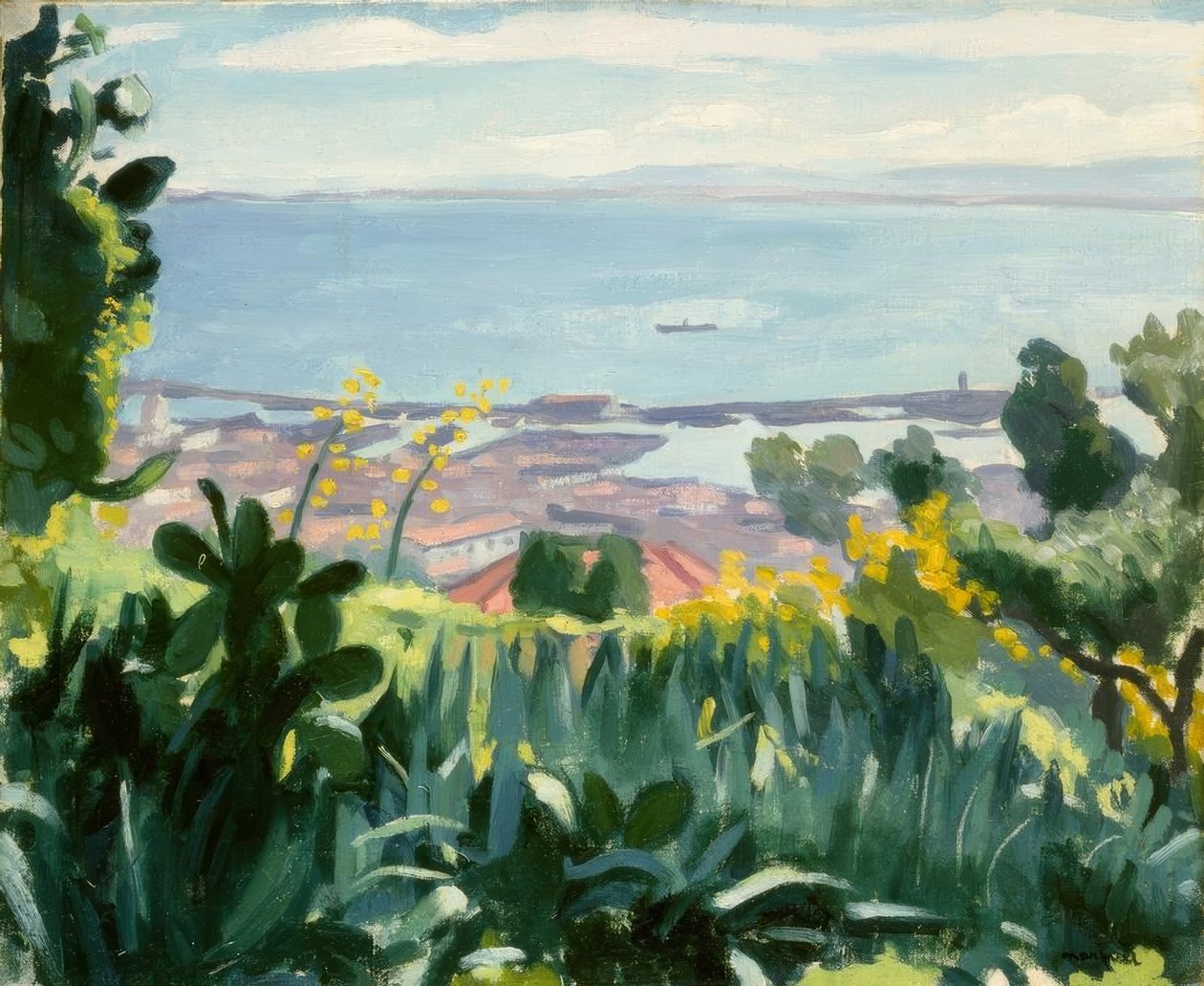 Algier - Udsigt fra Mustaphas højder af Albert Marquet
