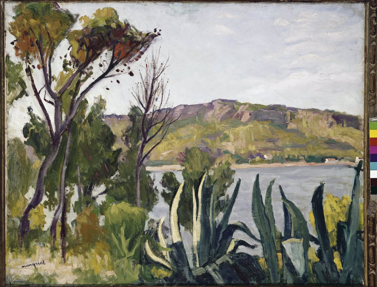 Landskab med agave. (olie på lærred af Albert Marquet