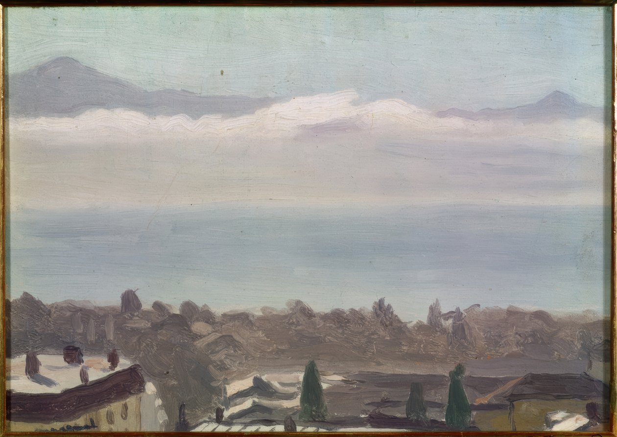 Lausanne og søen af Albert Marquet
