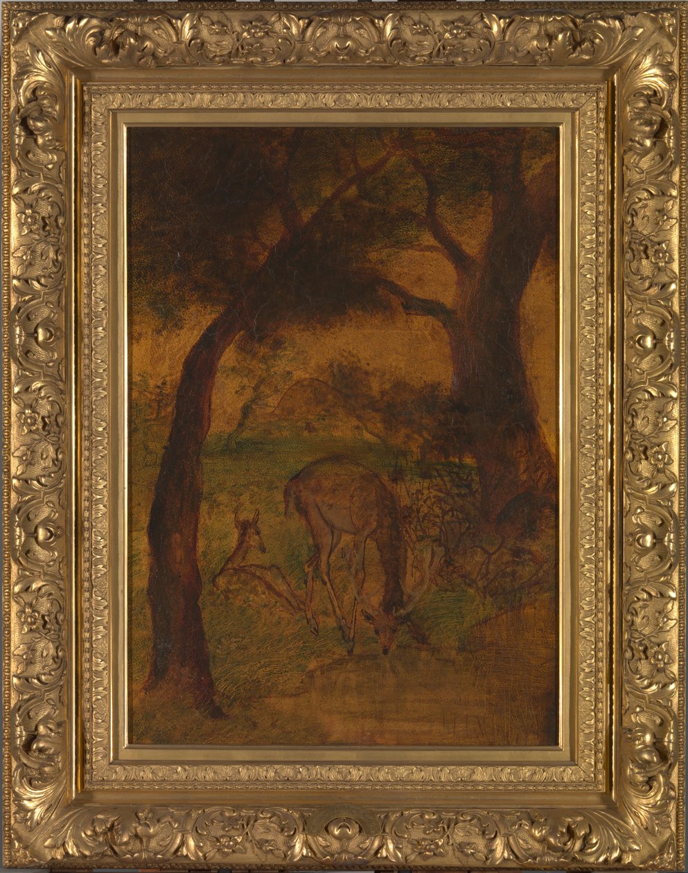 En kronhjort, der drikker, ca. 1870