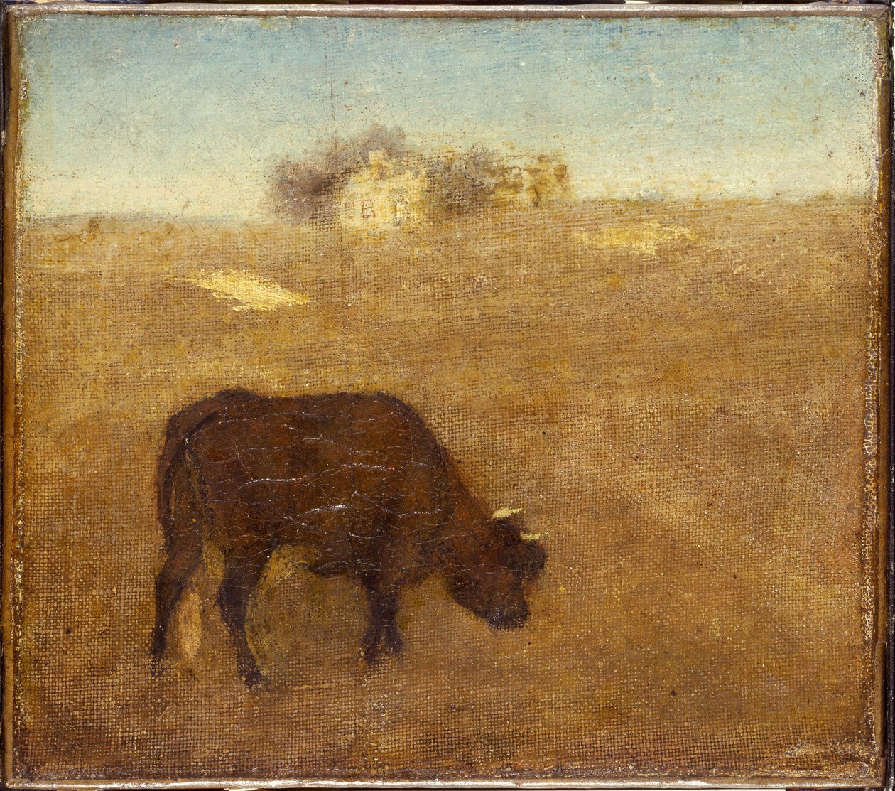 Evening Glow, den gamle røde ko, tidligt til midten af 1870