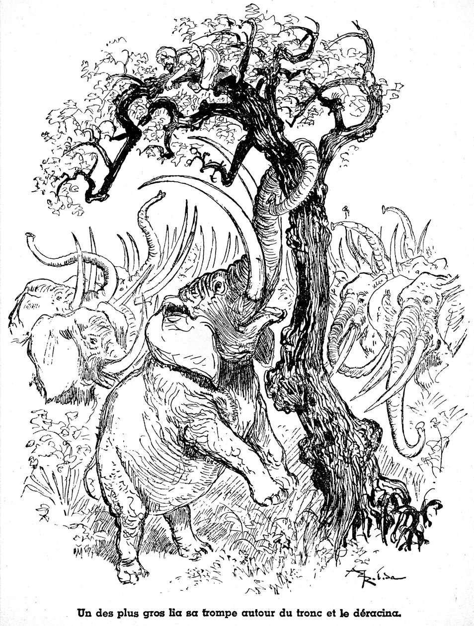 Sømanden Sindbad (Sinbad) - fortælling om de tusind og en (1001) nætter - illustration af en bog fra 1948 (Fortin edition, Wonderful Imaging collection of childhood) der fortæller sine eventyr - illustration af Albert Robida (1848 - 1926) - Syvende rejse : af Albert Robida