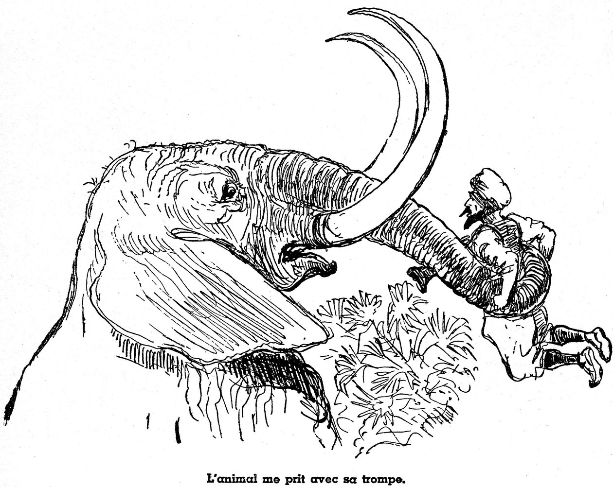 Sømanden Sindbad (Sinbad) - fortælling om de tusind og en (1001) nætter - illustration af en bog fra 1948 (Fortin-udgaven, samling Wonderful Imaging of Childhood), der fortæller sine eventyr - illustration af Albert Robida (1848 - 1926) - Syvende rejse : A af Albert Robida