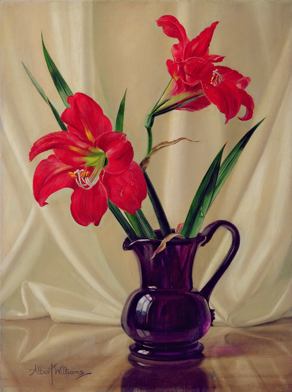 Amaryllis Lilies, i en mørk glaskande af Albert Williams