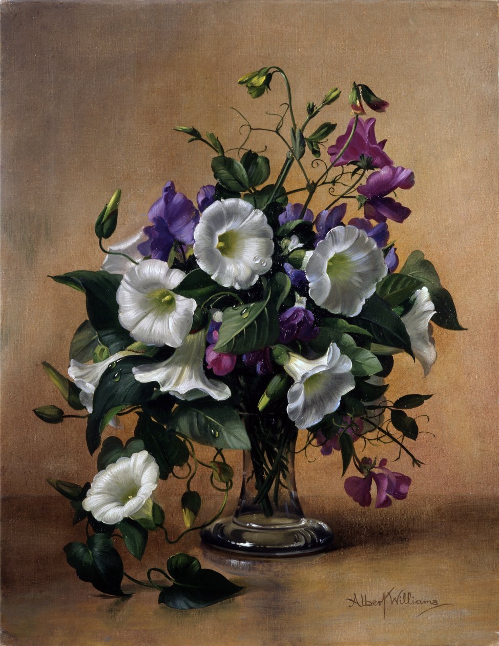 Convolvulus og sukkerærter i glasvase (olie på lærred) af Albert Williams