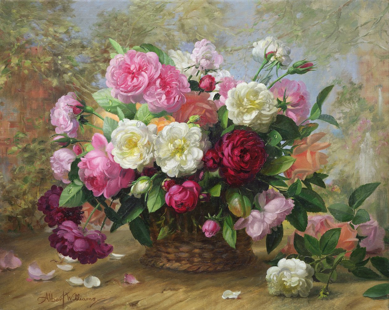 Himlens skønhed i en sommerrose af Albert Williams