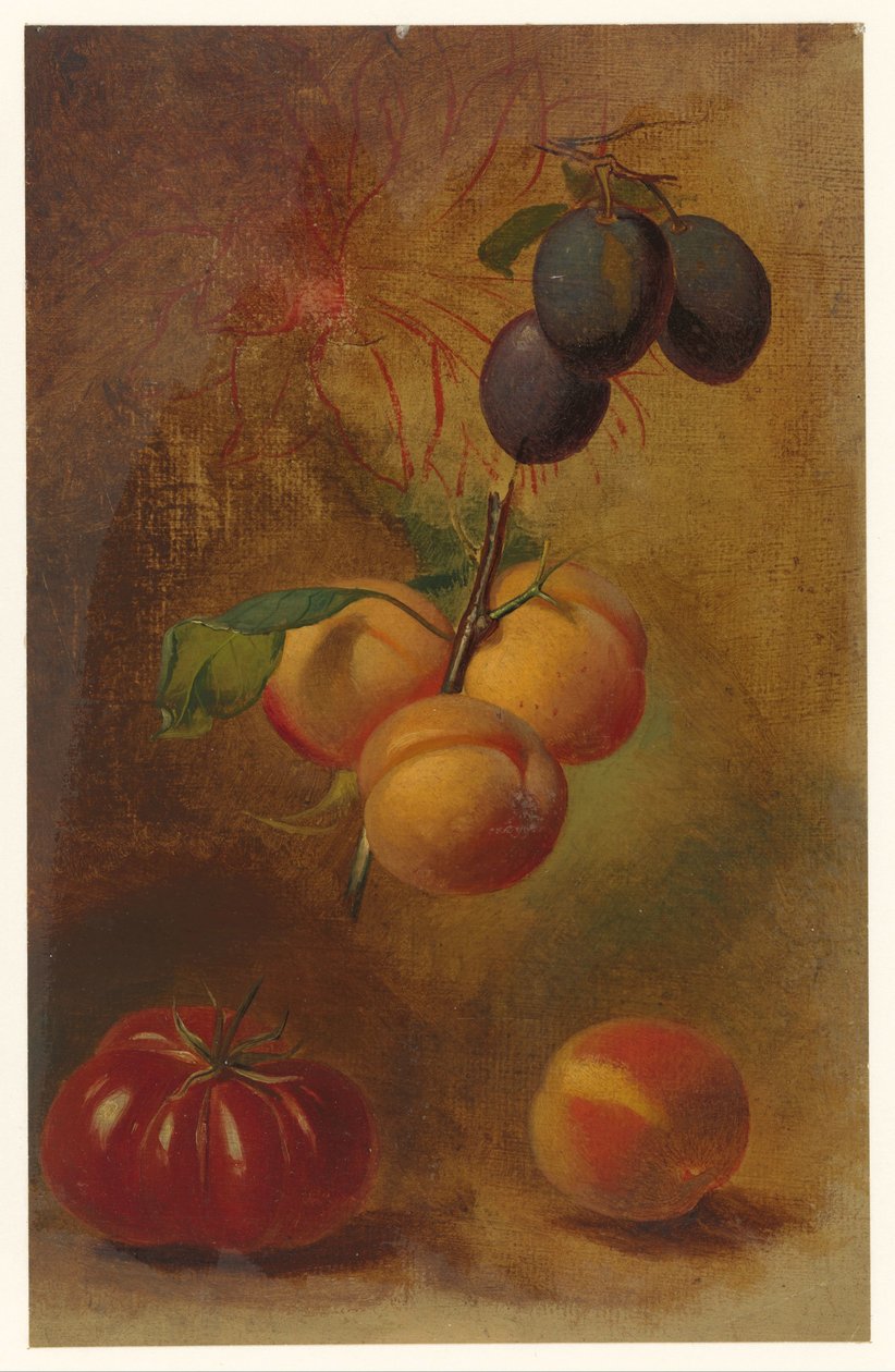 Stilleben med blommer, abrikoser og tomat af Albertus Steenbergen