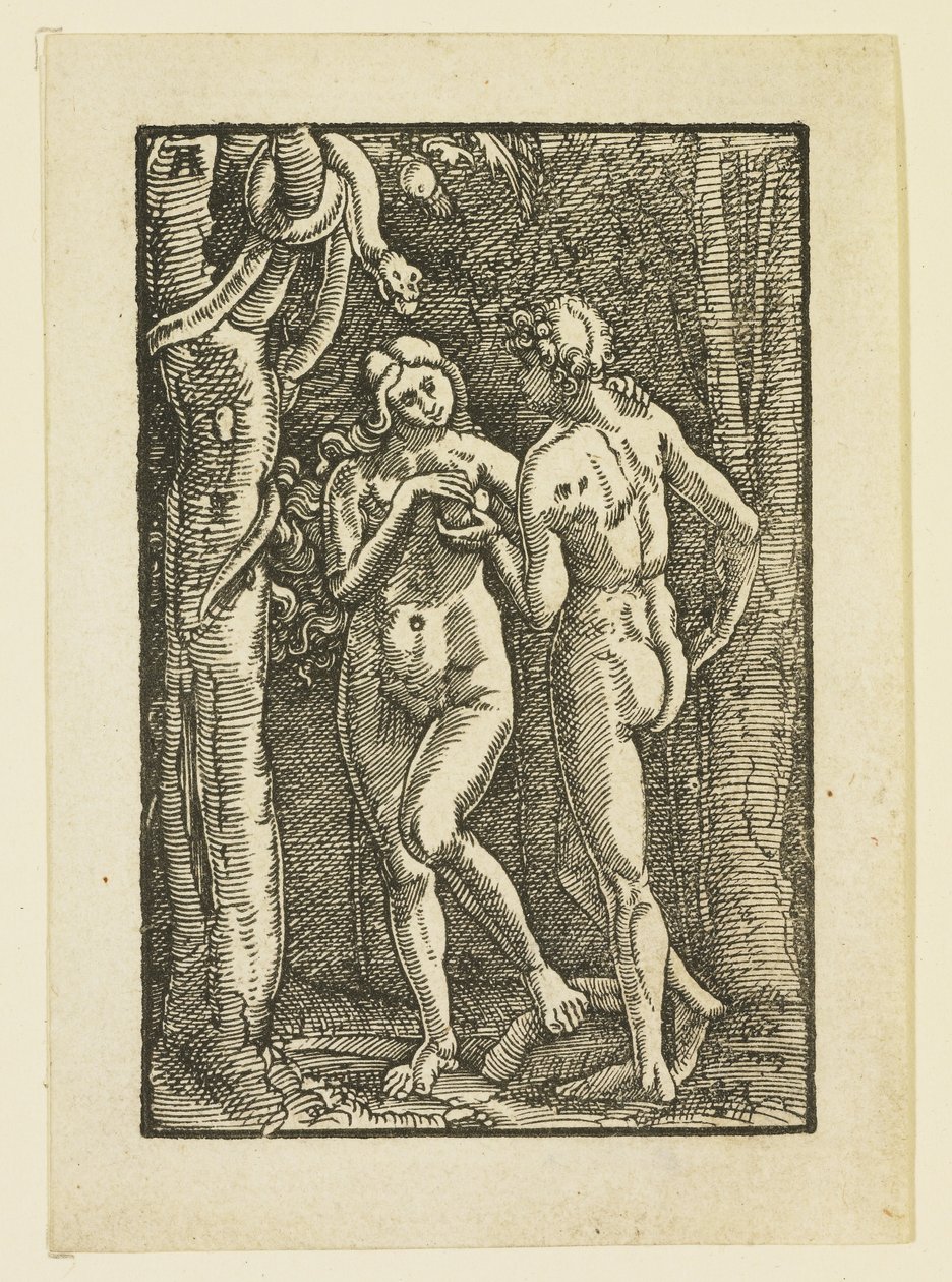 Adam og Eva spiser den forbudte frugt, ca. 1513 af Albrecht Altdorfer