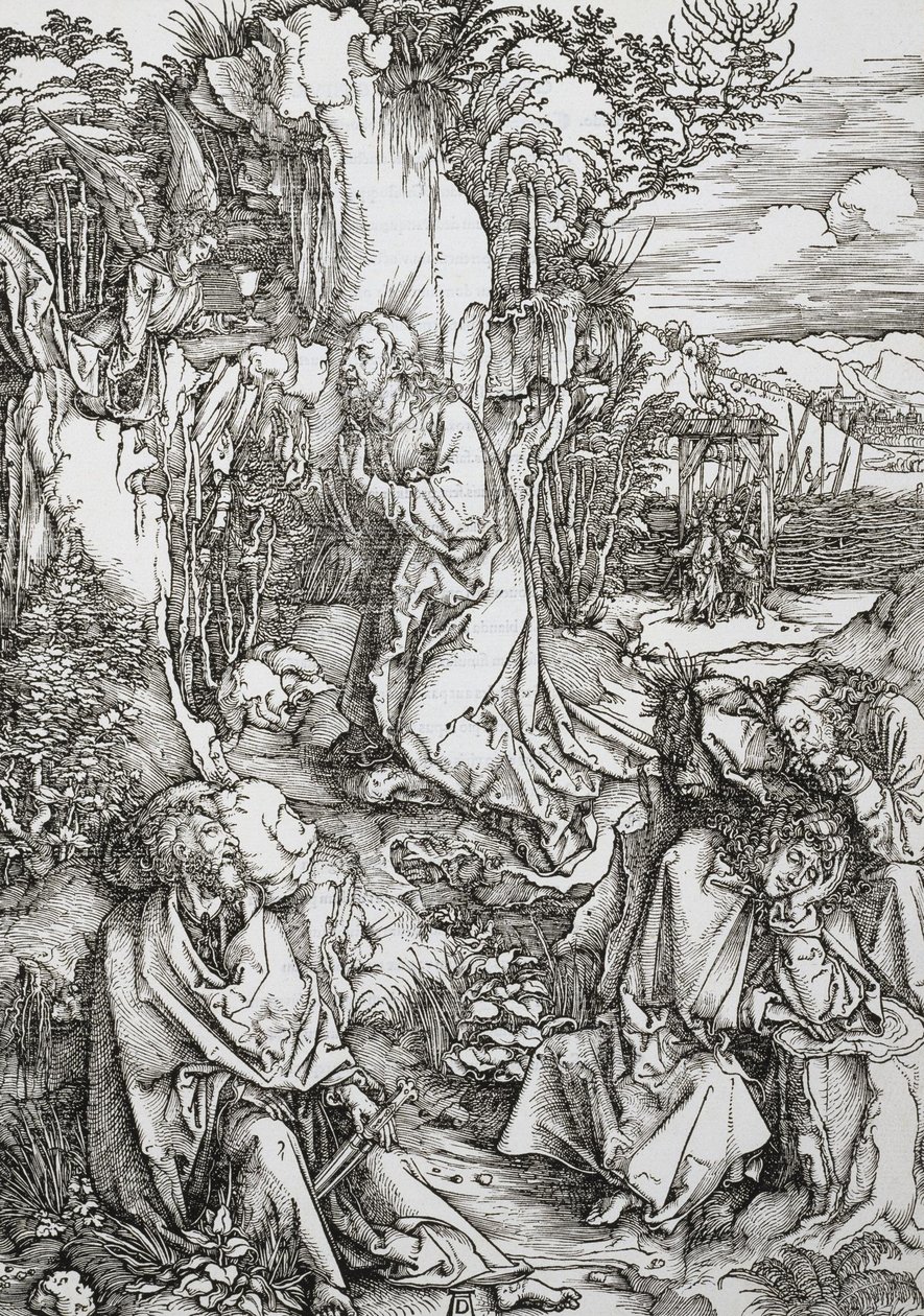 Smerte i haven af Albrecht Dürer