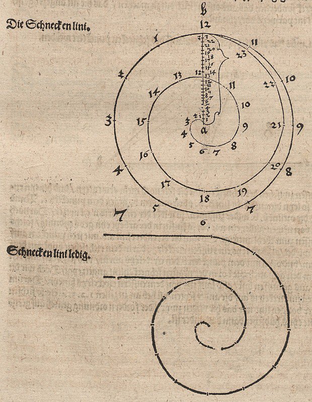 Archimedische Spirale af Albrecht Dürer