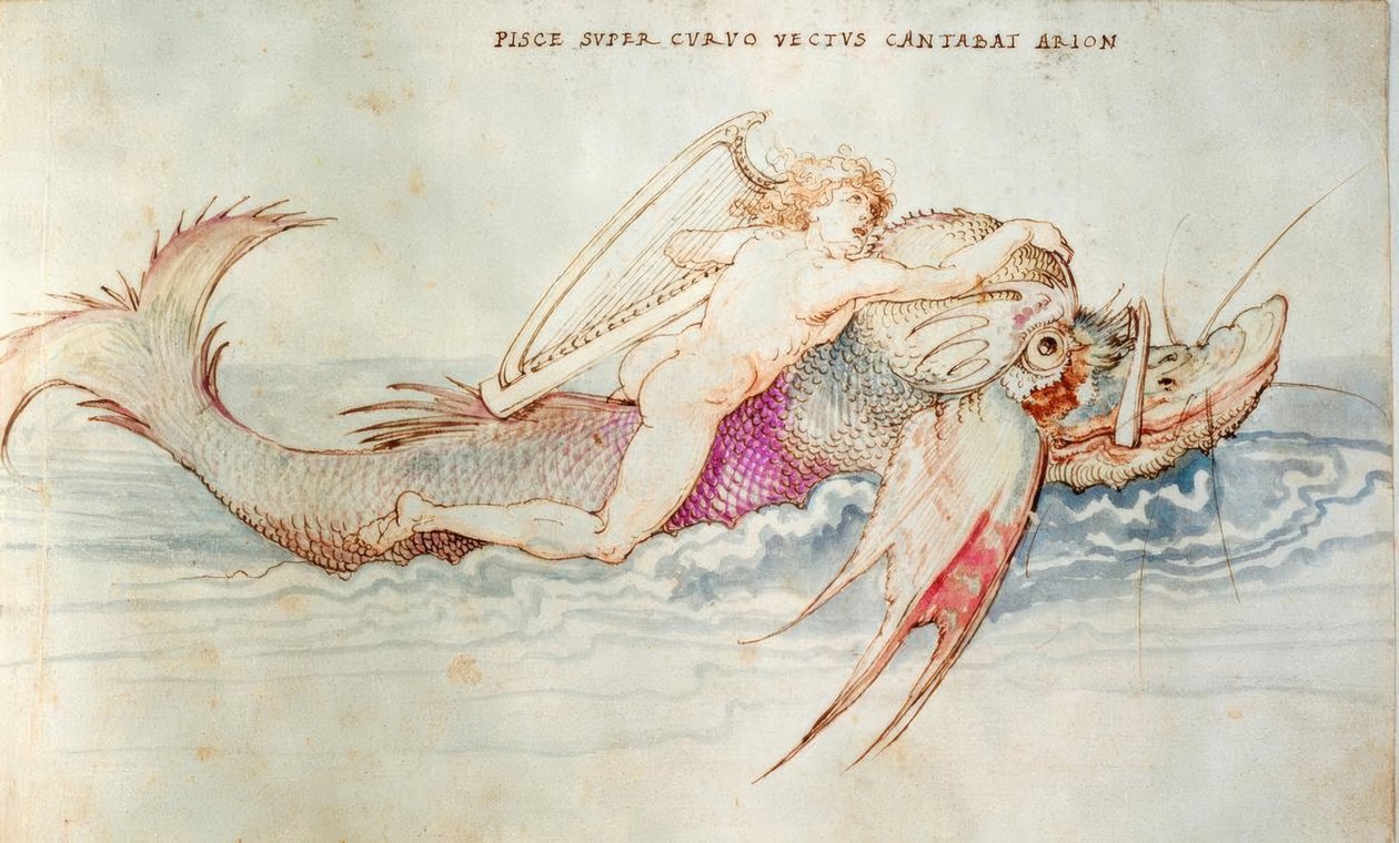 Arion reddes af en delfin af Albrecht Dürer